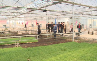 贵州烟草局如何借助区块链技术实现产业升级？
