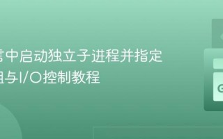 Go语言中启动独立子进程并指定用户/组与I/O控制教程