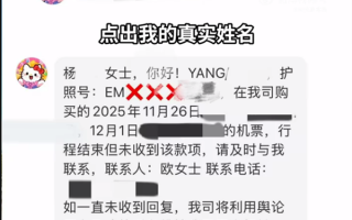 杨天真自曝遭遇信息诈骗：真实姓名、护照号、机票行程被掌握
