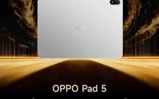 ZOL 推荐 2025 年度高性价比平板电脑：OPPO Pad 5