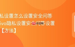 vivo隐私设置怎么设置安全问答验证_vivo隐私设置安全问答设置与找回【方法】