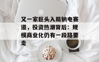 又一家巨头入局钠电赛道，投资热潮背后：规模商业化仍有一段路要走