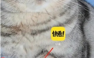 《快看漫画》设置自动购买方法