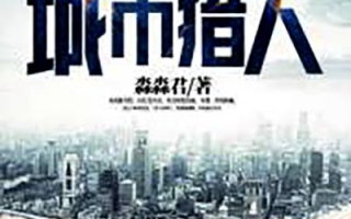 城市猎人在线观看指南-合法途径与观看技巧解析