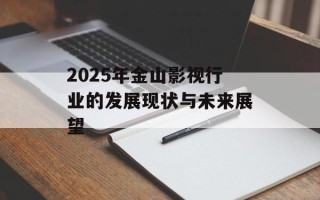 2025年金山影视行业的发展现状与未来展望
