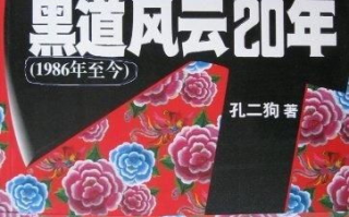 盘点十大经典黑道电视剧，黑帮世界里的江湖传奇