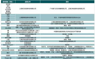 华映科技，创新技术引领未来-业务领域与市场策略解析