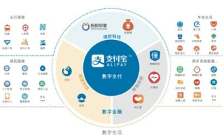 朝阳科技，创新驱动的科技先锋-业务发展与技术突破解析