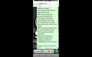 AI 辅助剧本创作： WhatsApp Meta AI 和 Gemini 实践指南