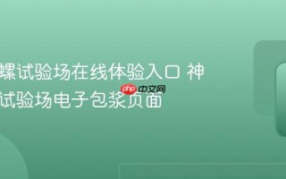 神奇海螺试验场在线体验入口 神奇海螺试验场电子包浆页面
