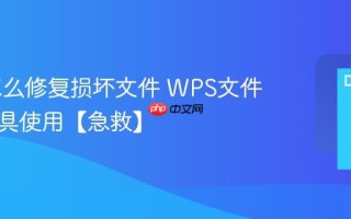 WPS怎么修复损坏文件 WPS文件修复工具使用【急救】