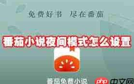番茄免费小说如何开启夜间模式