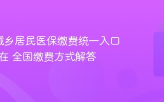 2026城乡居民医保缴费统一入口是否存在 全国缴费方式解答