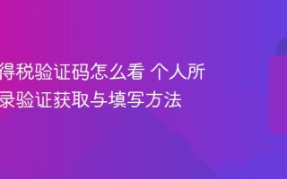 个人所得税验证码怎么看 个人所得税登录验证获取与填写方法