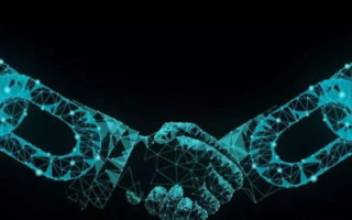 探索未来：区块链特性仿生学在2025年的应用与发展