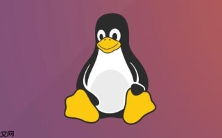 LinuxSSH登录慢怎么排查_DNS与配置优化解析【教程】