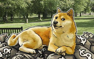 imtoken如何添加doge：ERC20代币添加步骤解析