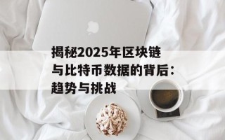 揭秘2025年区块链与比特币数据的背后：趋势与挑战