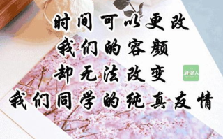 老同学重逢,情感链接重建-找回过去的朋友