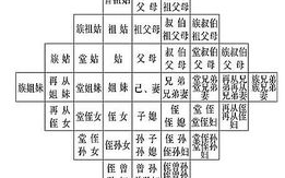 我是爸爸的女人，家庭角色与身份认同的探讨
