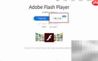 Flash修复安装一键搞定