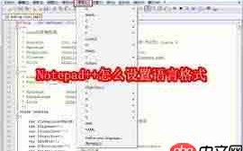 Notepad如何设置语言格式