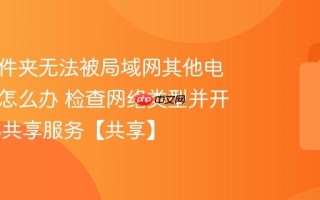 共享文件夹无法被局域网其他电脑访问怎么办 检查网络类型并开启SMB共享服务【共享】
