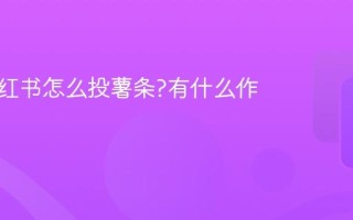 企业小红书怎么投薯条?有什么作用？