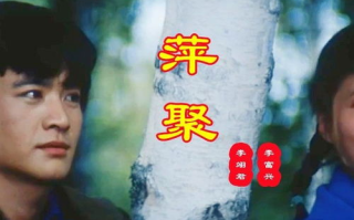 精选1000首伤感情歌，治愈心灵之痛-情感疗伤音乐推荐