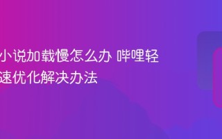 哔哩轻小说加载慢怎么办 哔哩轻小说网速优化解决办法