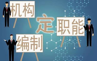 全才暖男，职场与生活的多面手-魅力解析