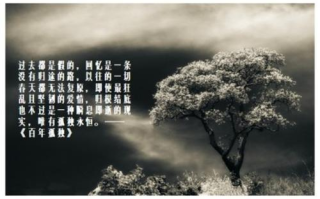 五本值得看三遍以上的小说，深度与艺术性的完美结合
