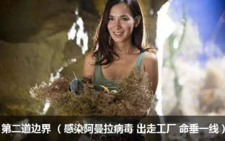 2022年热门电视剧盘点-高评分剧集推荐