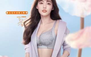 香蜜闺秀：传统与现代的完美融合-品牌魅力解析