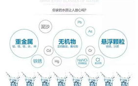 游泳池工作全方位解析-日常维护与管理要点