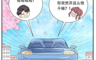 51动漫，优质动漫资源聚合平台-用户体验与服务特色解析