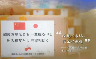 《扫黑风暴》第28集解析：关键剧情揭秘与角色发展