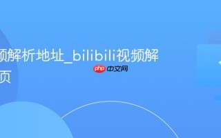 b站视频解析地址_bilibili视频解析入口页