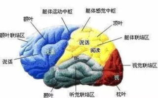 探索美食奥秘,味道优化技巧-提升饮食体验解析