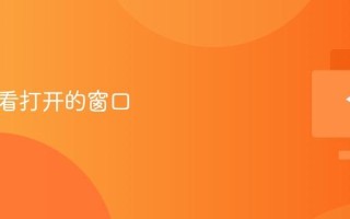 电脑查看打开的窗口