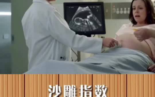 搞笑视频大全，爆笑短片精选-轻松生活的必备良药
