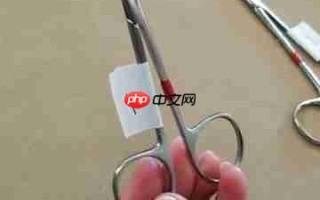 牙科手术器械识别指南：提升诊疗效率与准确性
