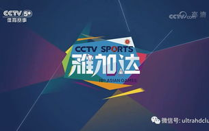 中央5今天现场直播,精彩赛事不容错过-观看指南解析