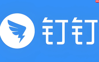 钉钉网页版网页版入口 钉钉网页版轻松登录地址