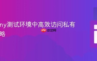 Symfony测试环境中高效访问私有服务策略