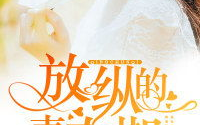 《放纵的青春》免费全文小说-青春成长故事在线阅读体验