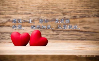 人世间的情感与哲理-探寻生活真谛与心灵成长