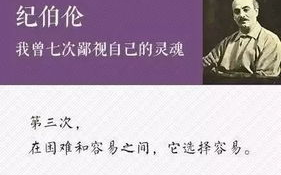 疯狂的代价：企业发展中的风险与机遇权衡