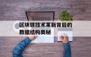 区块链技术革新背后的数据结构奥秘