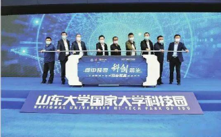 新新影视：解码2025年观影潮流新动向